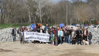 Tavuk Ormanı etkinliği haberleri