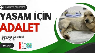 YAŞAM İÇİN ADALET İSTİYORUZ!