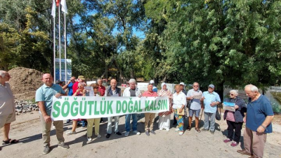 SÖĞÜTLÜK ORMANINDA YÜZLERCE AĞACIN KURUMA NEDENİ    SİYASET VE İKTİDAR TEMSİLCİLERİDİR!