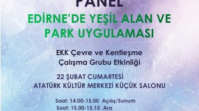 YEŞİL ALANLAR NASIL OLMALI?