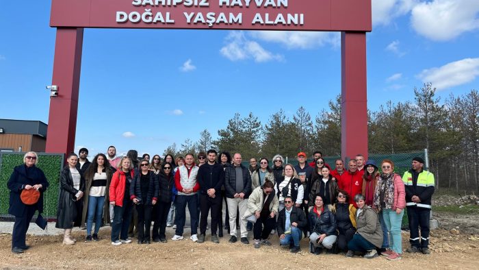 HAYVAN BARINAĞI İNCELENDİ